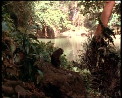 PDVD_462.jpg