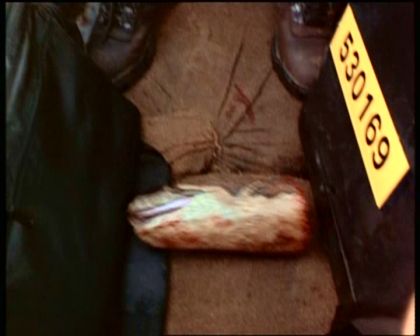 PDVD_480.jpg