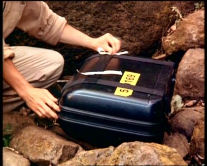 PDVD_566.jpg