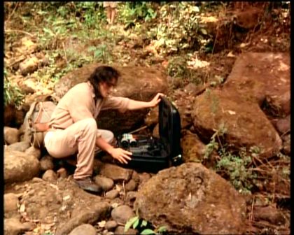 PDVD_568.jpg