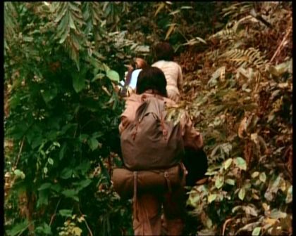 PDVD_578.jpg