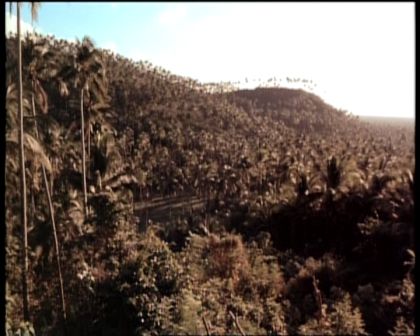 PDVD_579.jpg