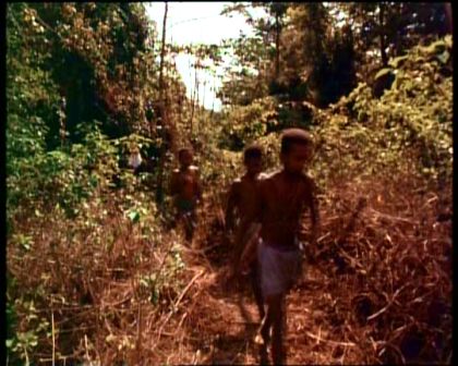 PDVD_580.jpg