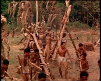 PDVD_658.jpg