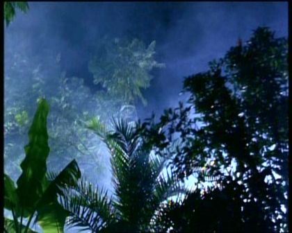 PDVD_679.jpg