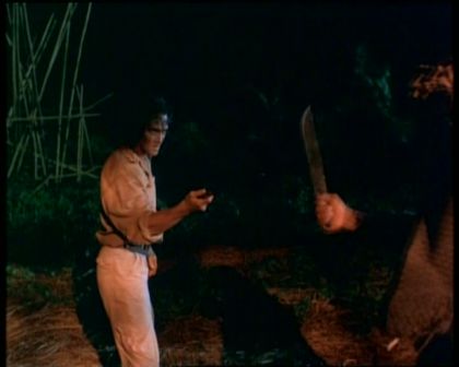 PDVD_709.jpg