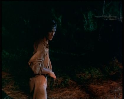 PDVD_717.jpg