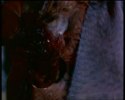 PDVD_851.jpg