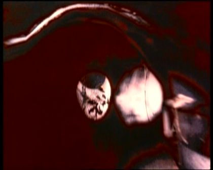 PDVD_929.jpg