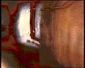 PDVD_1015