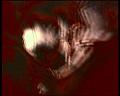 PDVD_1176