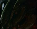 PDVD_1205