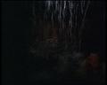 PDVD_1244