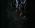 PDVD_1259