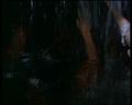 PDVD_1270