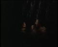 PDVD_1287