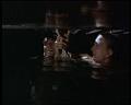 PDVD_1310