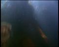 PDVD_1314
