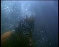 PDVD_1315