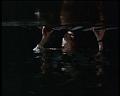PDVD_1317