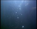 PDVD_1318
