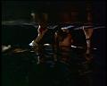 PDVD_1319