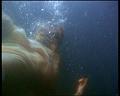 PDVD_1324