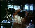 PDVD_1350