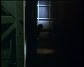 PDVD_1371