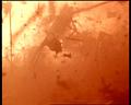 PDVD_1620