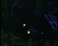 PDVD_1626
