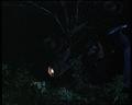 PDVD_1627