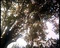 PDVD_1679