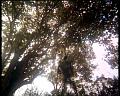 PDVD_1680