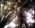 PDVD_1681