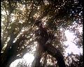 PDVD_1682