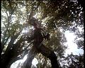 PDVD_1684