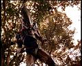 PDVD_1689