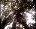 PDVD_1700