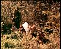 PDVD_1723
