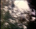 PDVD_1733