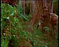 PDVD_1757