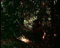 PDVD_1759