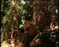 PDVD_1762