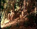 PDVD_1774