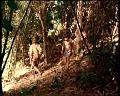 PDVD_1775