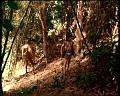 PDVD_1776