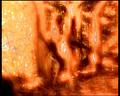 PDVD_1778