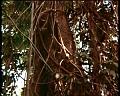 PDVD_1780