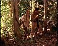 PDVD_1784